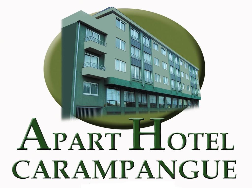 Apart Hotel Carampangue Valdivia Rum bild